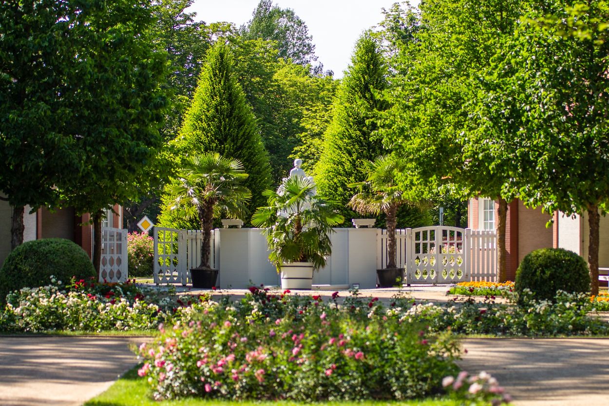 Ostdeutscher Rosengarten Forst (Lausitz) Rosenpark
